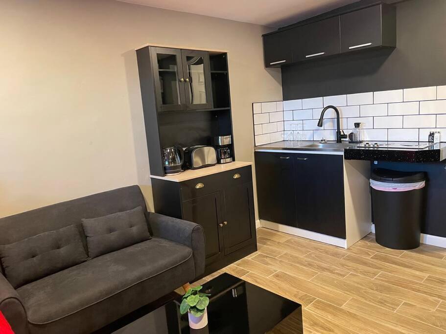 New Midtown Modern Studio With Backyard Финикс Екстериор снимка