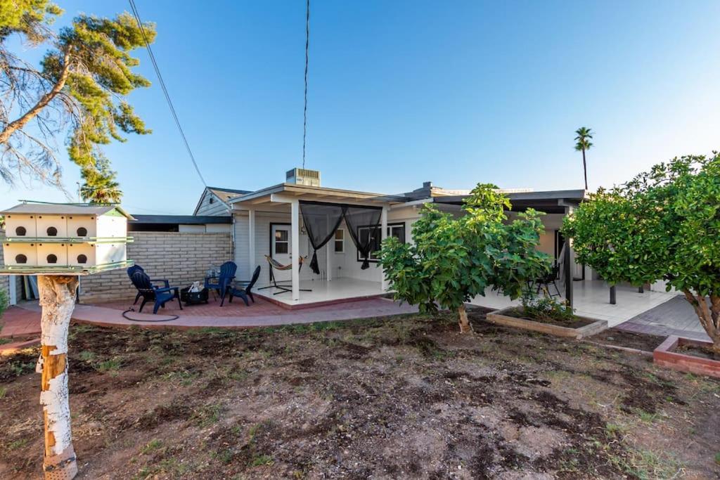 New Midtown Modern Studio With Backyard Финикс Екстериор снимка